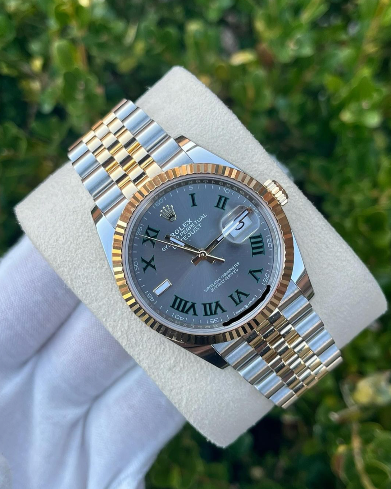 2024 Rolex Datejust Two Tone Gold Wimbledon Dial 126233